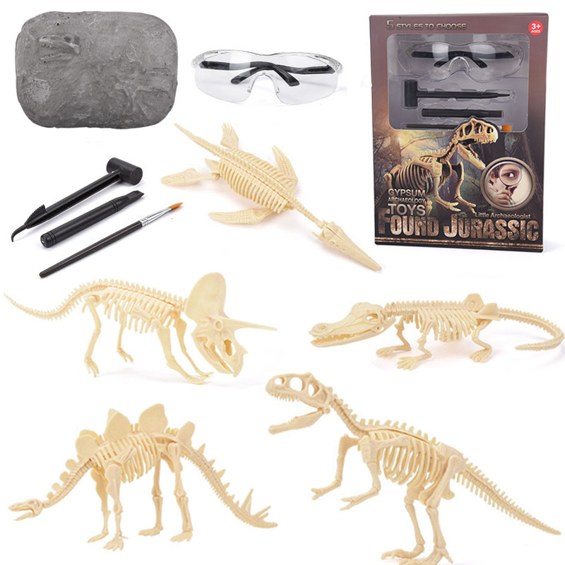 Model Kit Girl - Dinosaur Fossil Excavation Kit STEM Excavates