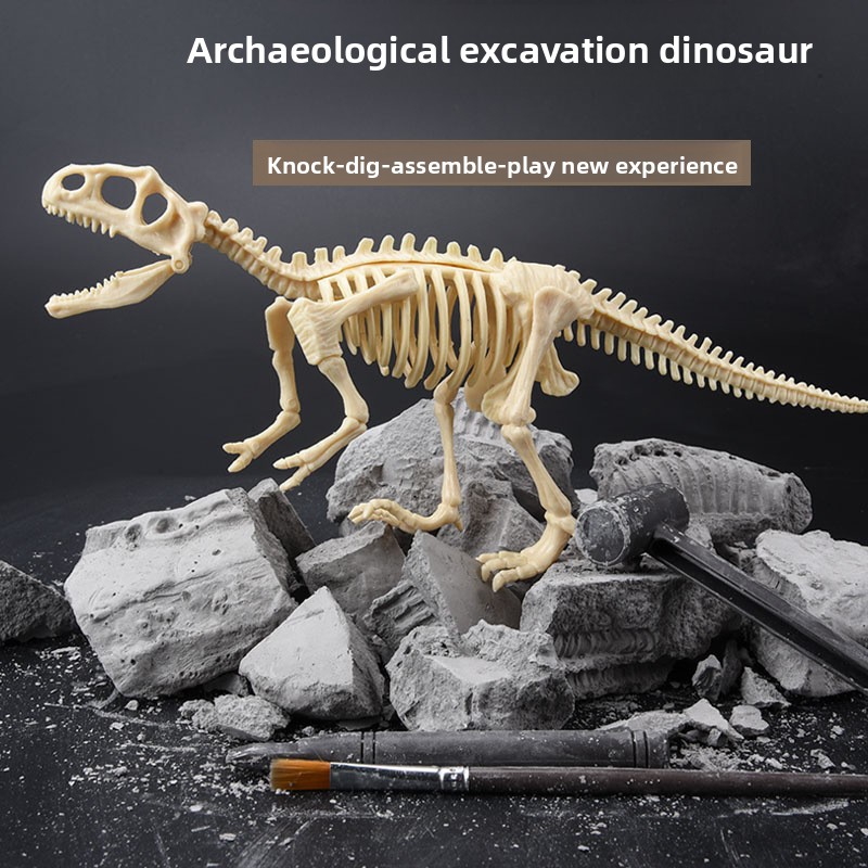 Dinosaur Fossil Excavation Kit - Model Kit Girl recension och pris